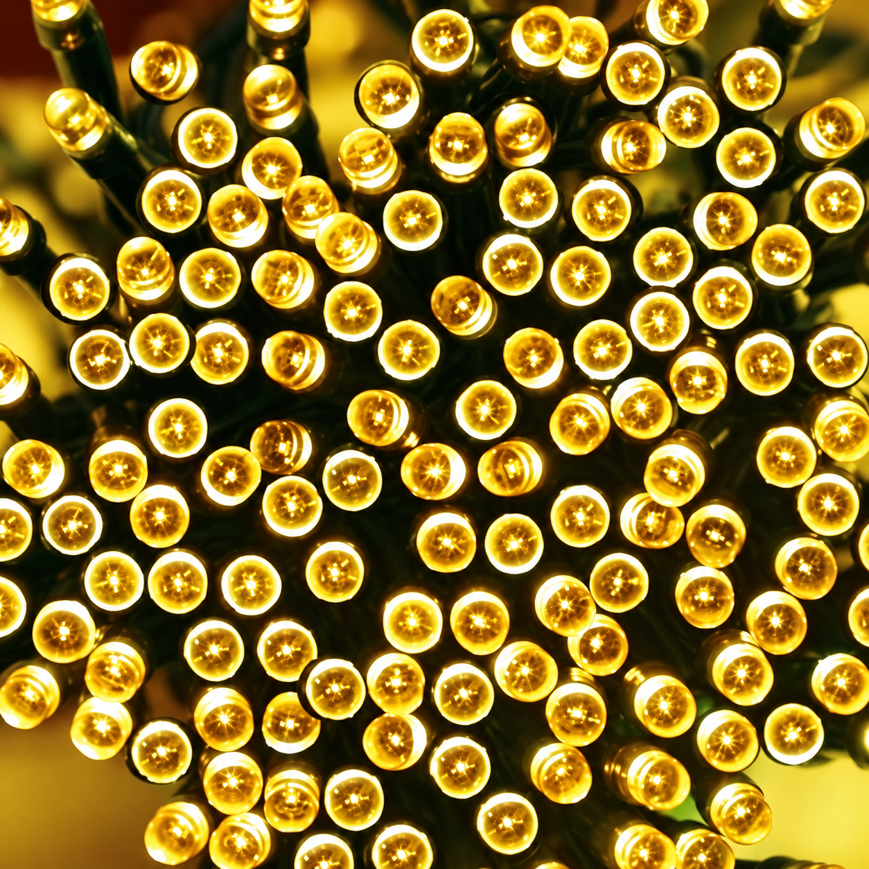 Steady string lights
